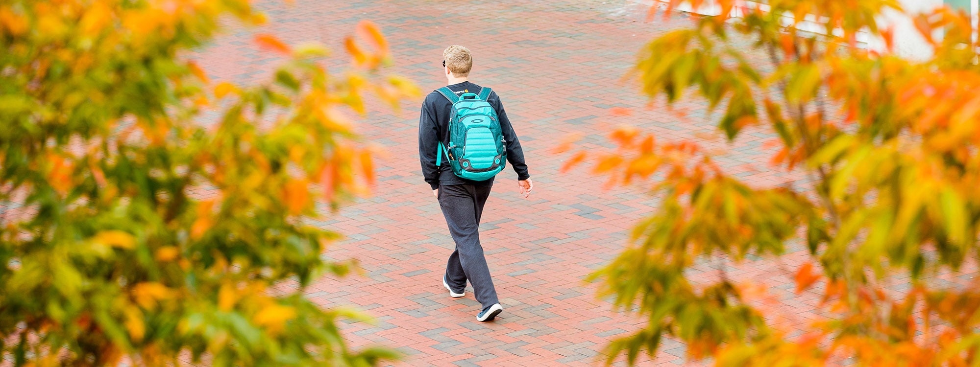 Leaves starting to change color in the crisp fall air frame an ECU student as he makes his way to class near the Sci Tech Building on Tuesday, October, 31, 2017.  (ECU Photo by Rhett Butler)