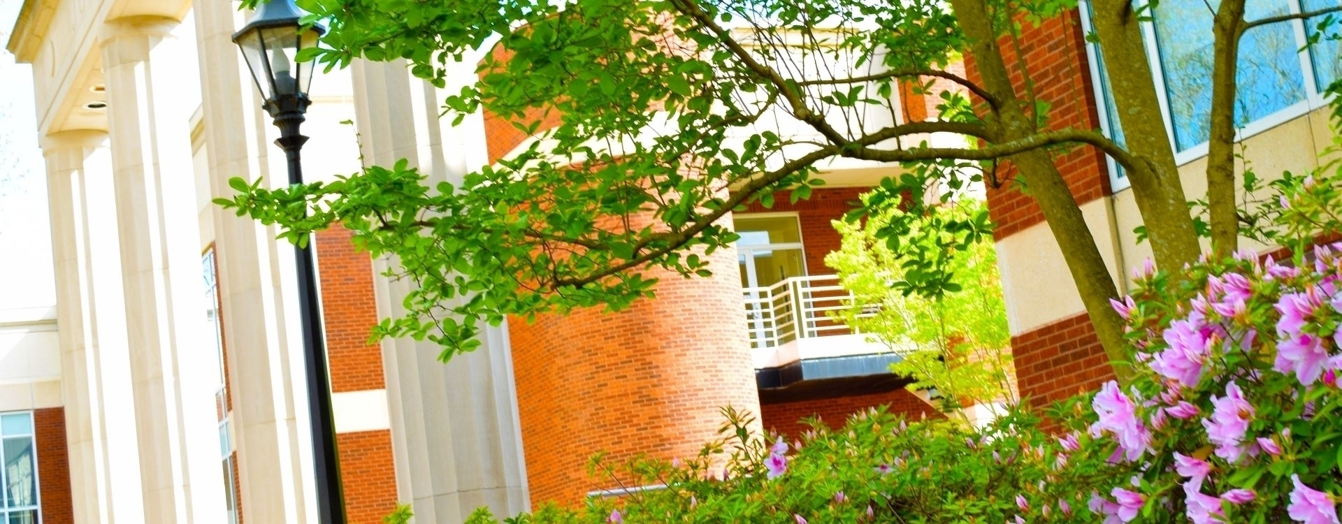 Image of Sonic Plaza and School of Communication at ECU
